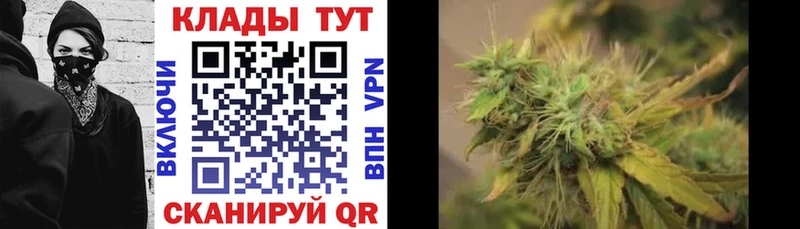 Магазины продажи наркотиков Котово ГАШ Канабис MDMA МЕФ Alpha-PVP