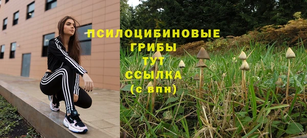 молекула духа Осташков