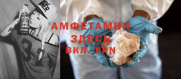 молекула духа Осташков