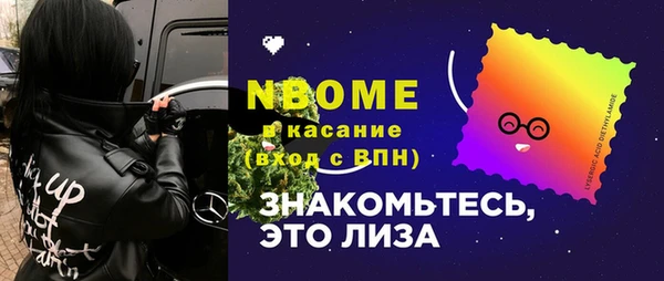 молекула духа Осташков