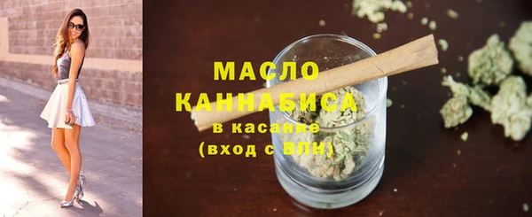 молекула духа Осташков
