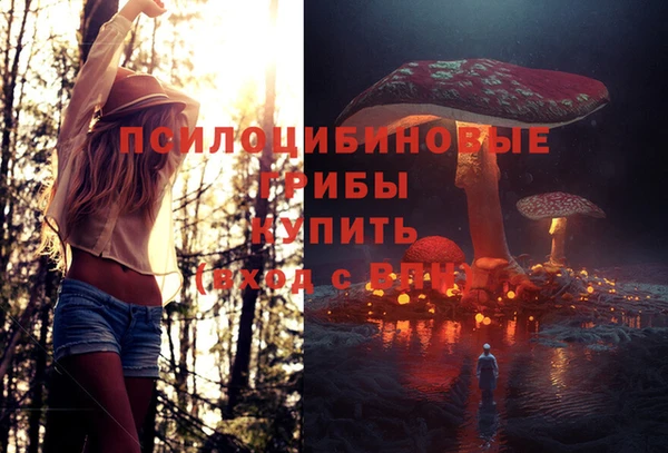 a pvp Остров