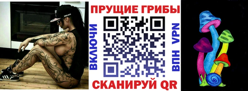Псилоцибиновые грибы MAGIC MUSHROOMS  нарко площадка формула  Котово 