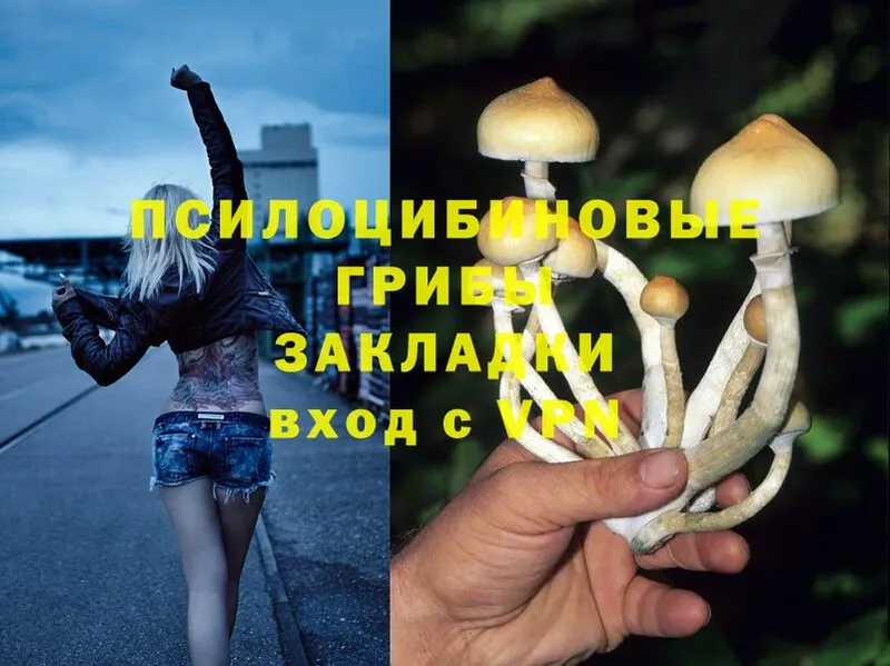 Галлюциногенные грибы Magic Shrooms  наркота  OMG зеркало  Котово 