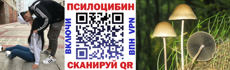 Псилоцибиновые грибы Psilocybine cubensis Котово